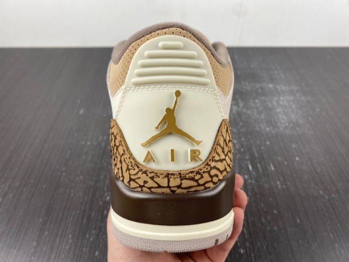 Air Jordan 3 “Palomino” CT8532-102